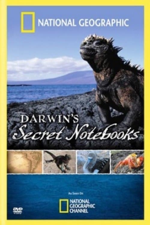 Постер Darwin's Secret Notebooks